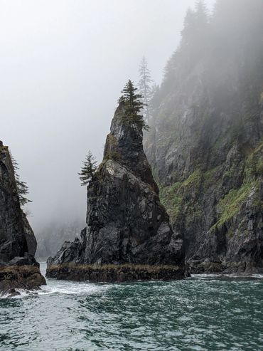 Foggy coastal cliffs with pine trees on rocky outcrops over turbulent water.