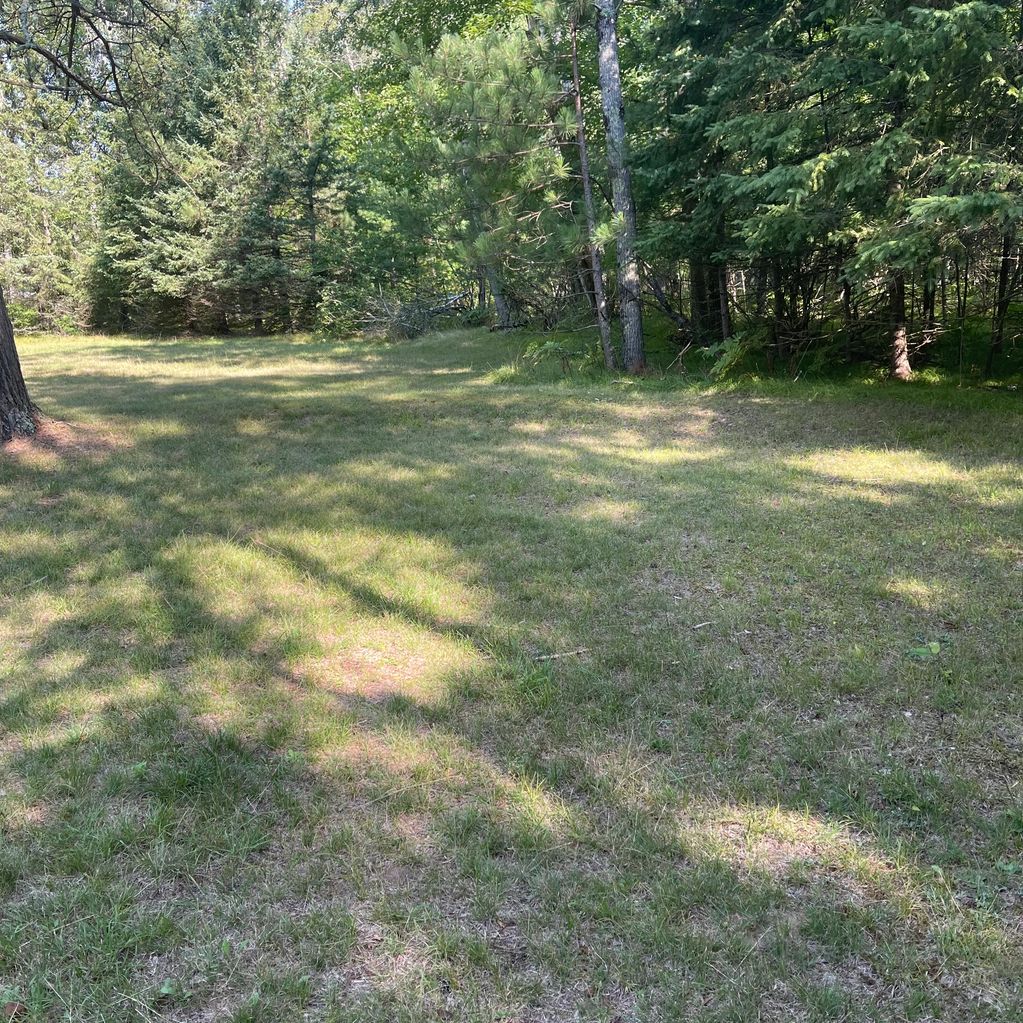 Dance ring summer.