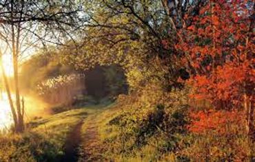 In de directe omgeving van Villa Mortaise