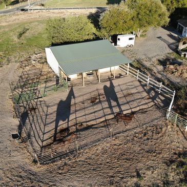 Evolving Horse Pathways LLC