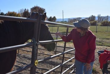 Evolving Horse Pathways LLC