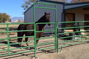 Evolving Horse Pathways LLC