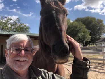 Evolving Horse Pathways LLC