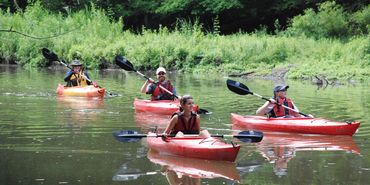 Four people kayaking on a calm river surrounded by greenery.
