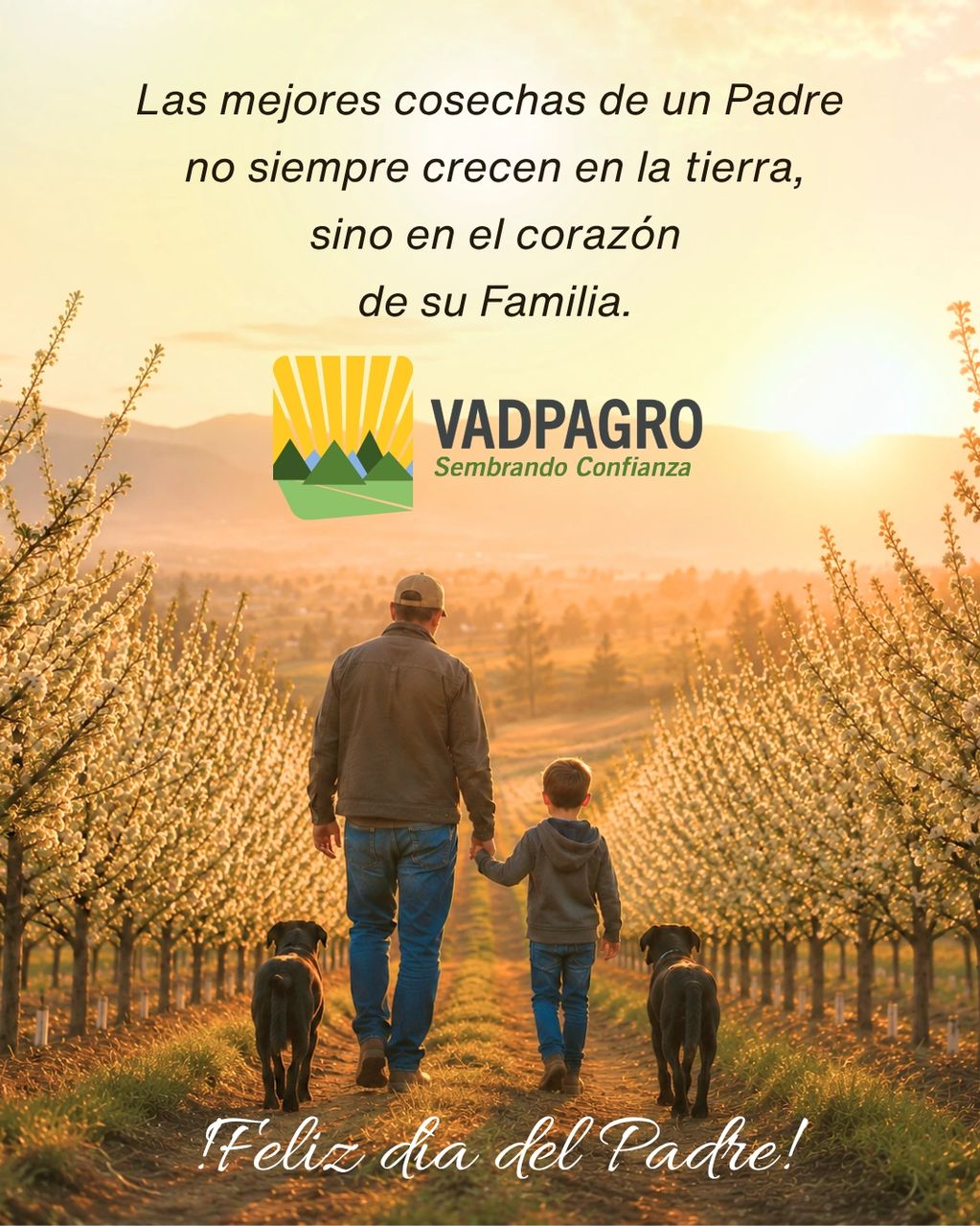 Día del padre
