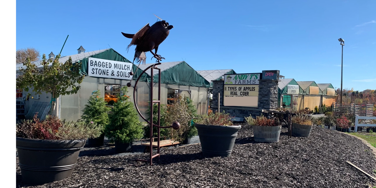 Beautiful picture of garden