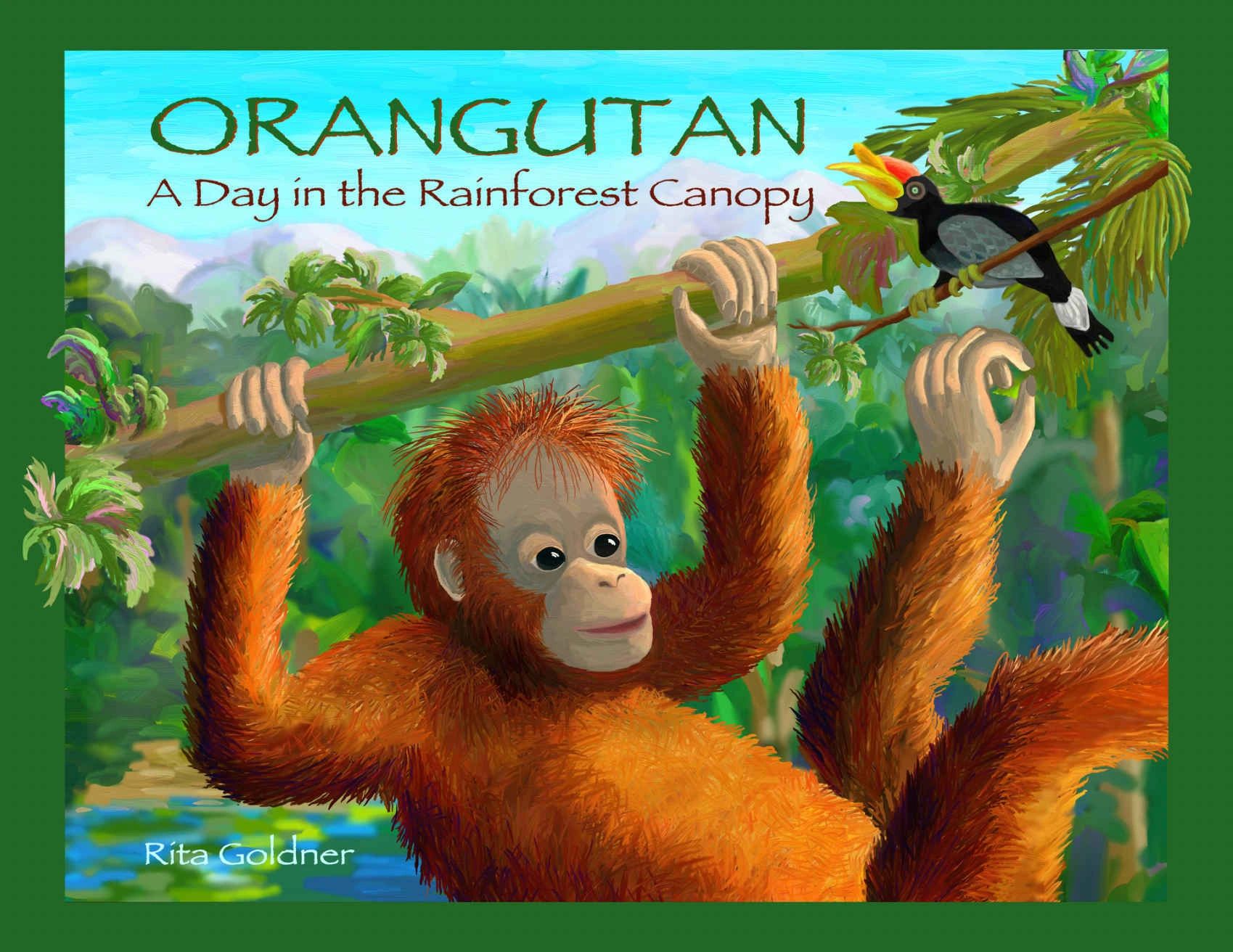 Rita Goldner Author Illustrator's book cover Orangutan A Day in the Rainforest Canopy
