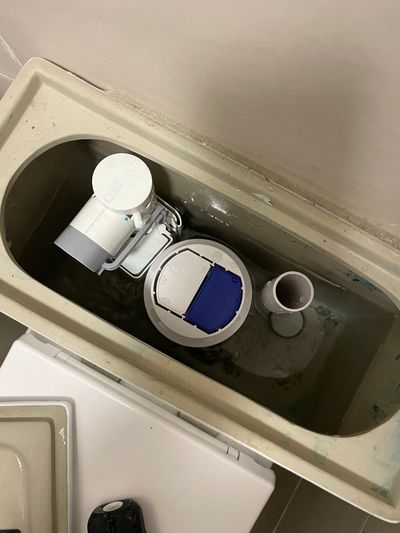 Inside view of a toilet tank showing the flush mechanism and water level.