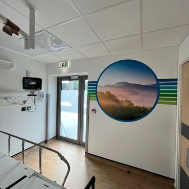 Artwork in adult medical bay