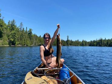 A woman in a canoe holding a large fish on a lake.
