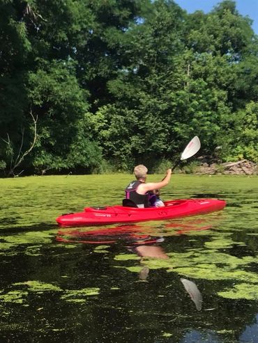 Person kayaking on a calm, algae-covered river surrounded by lush trees.