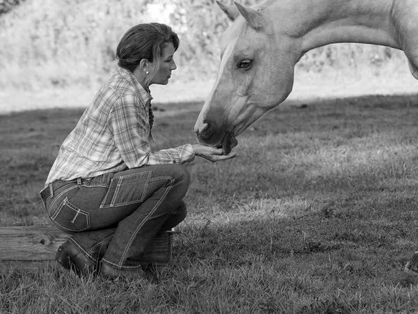 A woman feeding a horse with her hand in a peaceful outdoor setting.