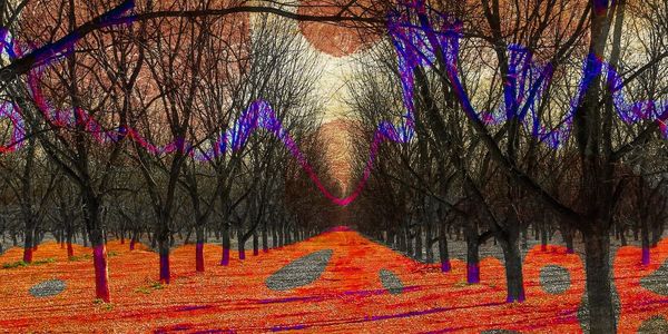 Artist, Nadia Zuckerberg