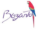 Bozanto Inc.