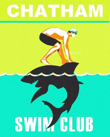 Chatham MA, Shark poster, cape cod sharks, chatham swim club, swimming with sharks, Chatham Cape Cod