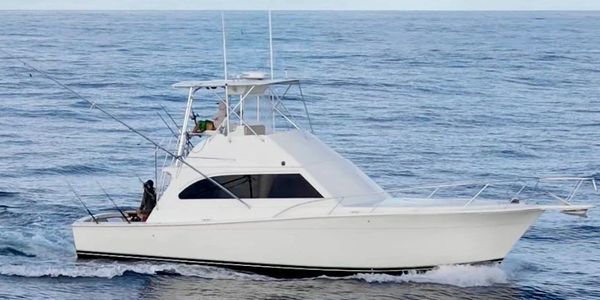 Teaser fishing Punta Cana