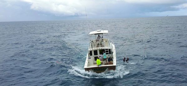 Fad fishing in cap cana