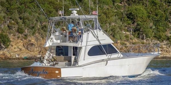 Fad fishing in punta cana