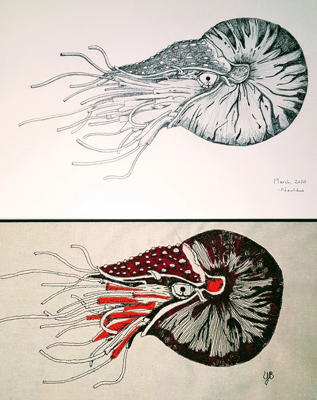 Nautilus sketch and textile