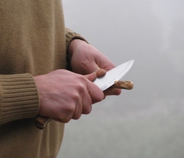 Raven Knife