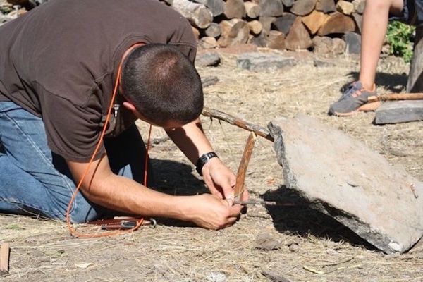 Paiute deadfall