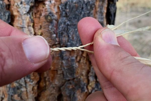 Plaiting cordage