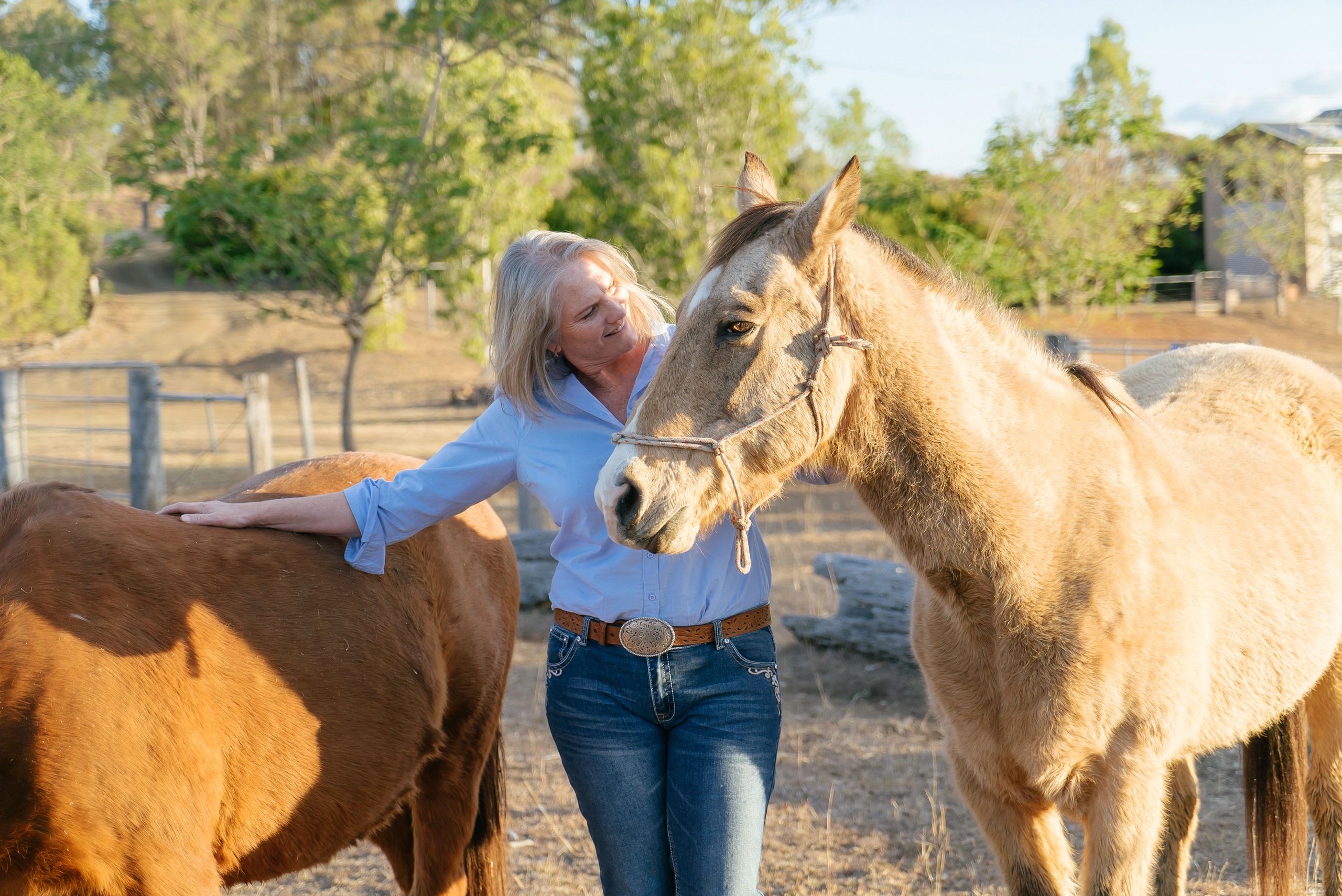Equine therapy and learning, working with horses to create awareness, acceptance and congrency.