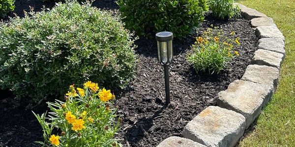 A curved garden bed with bushes, yellow flowers, and solar lights.