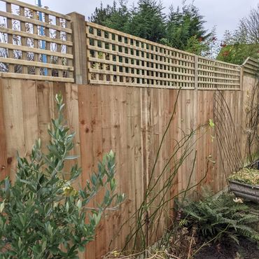 Panel fence with trellis above.
