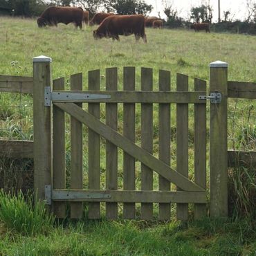 Small garden picket gate.