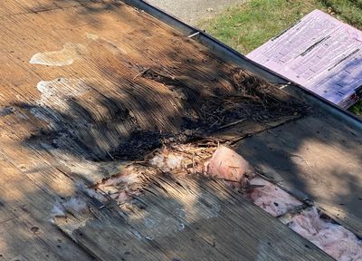 Roof Leak, Roof Repair, Residential Roofing, Roofing Contractor, Roof Damage