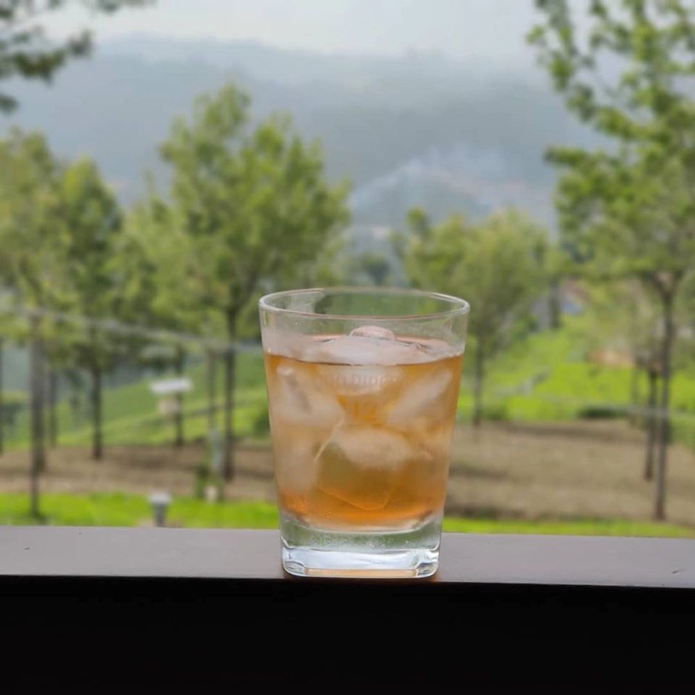 Pink Gin and Blue Mountains (Nilgiris)