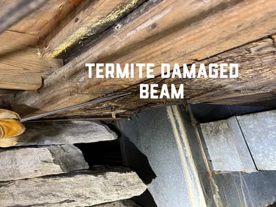 Termite damage Indiana
