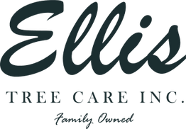 Ellis Tree Care
