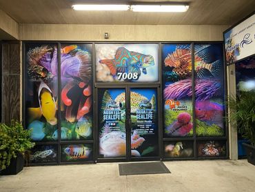 RKW Designs - Aquatic Sealife Window Vinyl