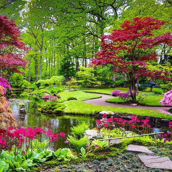 A vibrant garden with colorful flowers, a winding path, and a serene pond. diseño de jardines
paisajismo comercial
paisajismo residencial