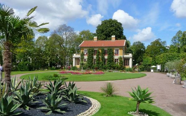 A charming house surrounded by a lush garden with pathways and various plants.