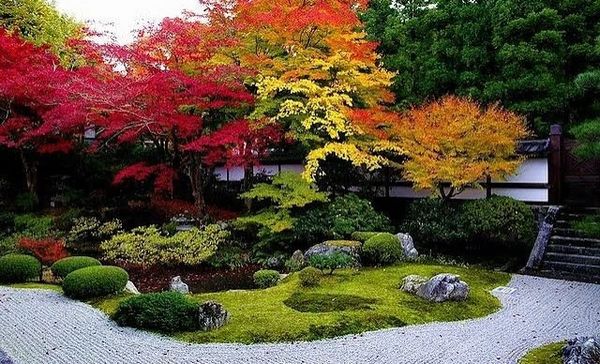 A colorful Japanese garden with vibrant autumn trees and a serene rock and moss landscape.