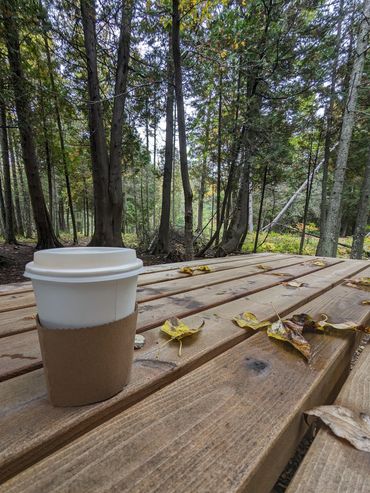 Cedar Coffee Company in Two Harbors, MN