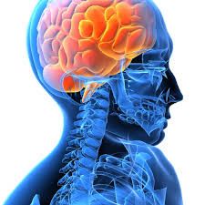Neurology services for Seizures, Multiple Sclerosis, Chronic Pain, Dementia, Parkinson, Neuropathy