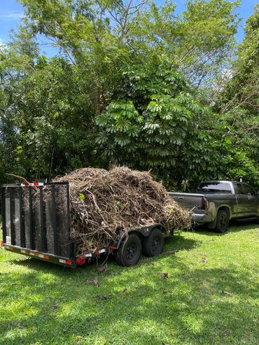 A trailer loaded with garden waste hitched to a gray pickup truck on grass.
