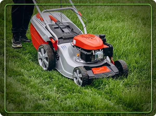 Lawn & Yard Maintenance