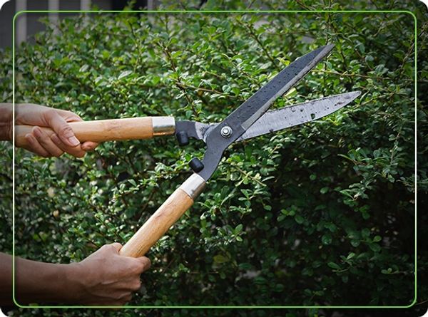 Commercial and HOA Services