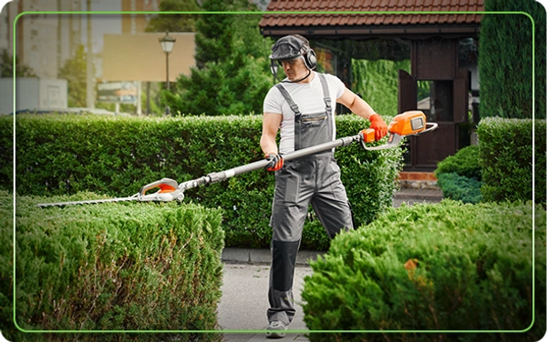 Lawn Care