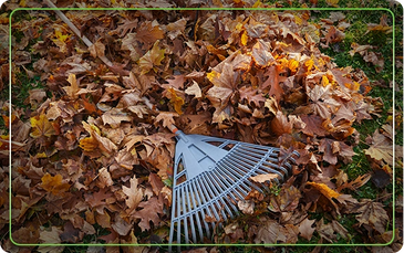 Spring and Fall Cleanups