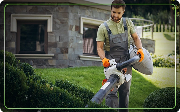 top-notch lawn care