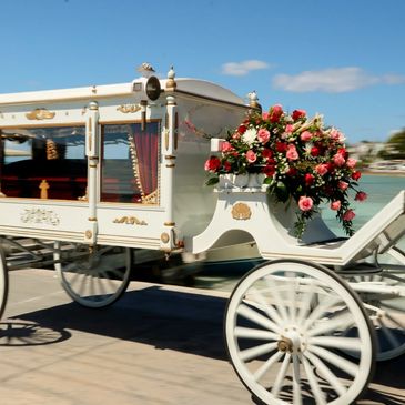 Historical Horse Drawn Hearse.