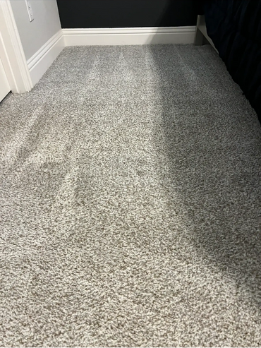 After Photo of Revitalized Carpet