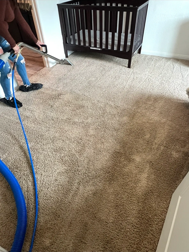 Progress of Carpet Cleaning: Visible Dirt and Stains Removal.