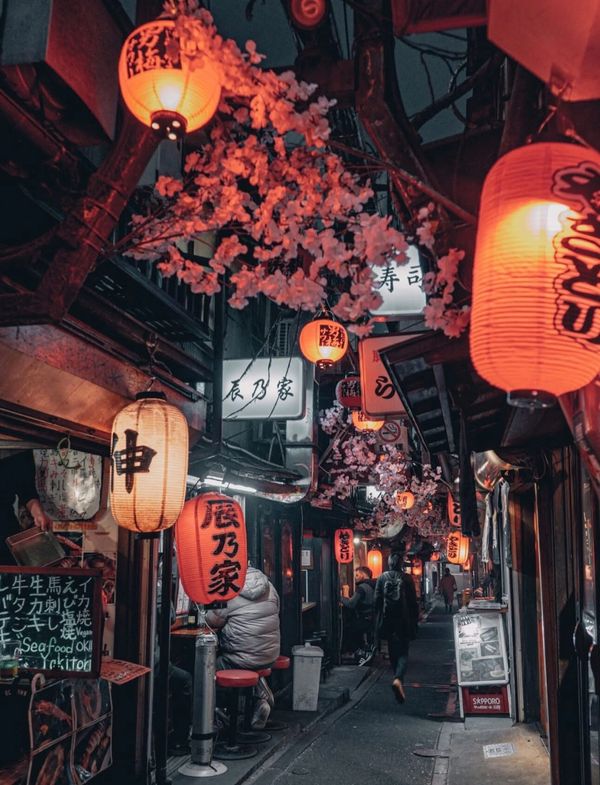 Narrow Japanese street lit with lanterns and cherry blossoms.